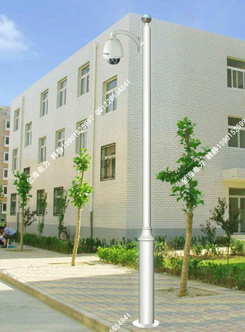 河北金海供应坚固耐用监控杆
